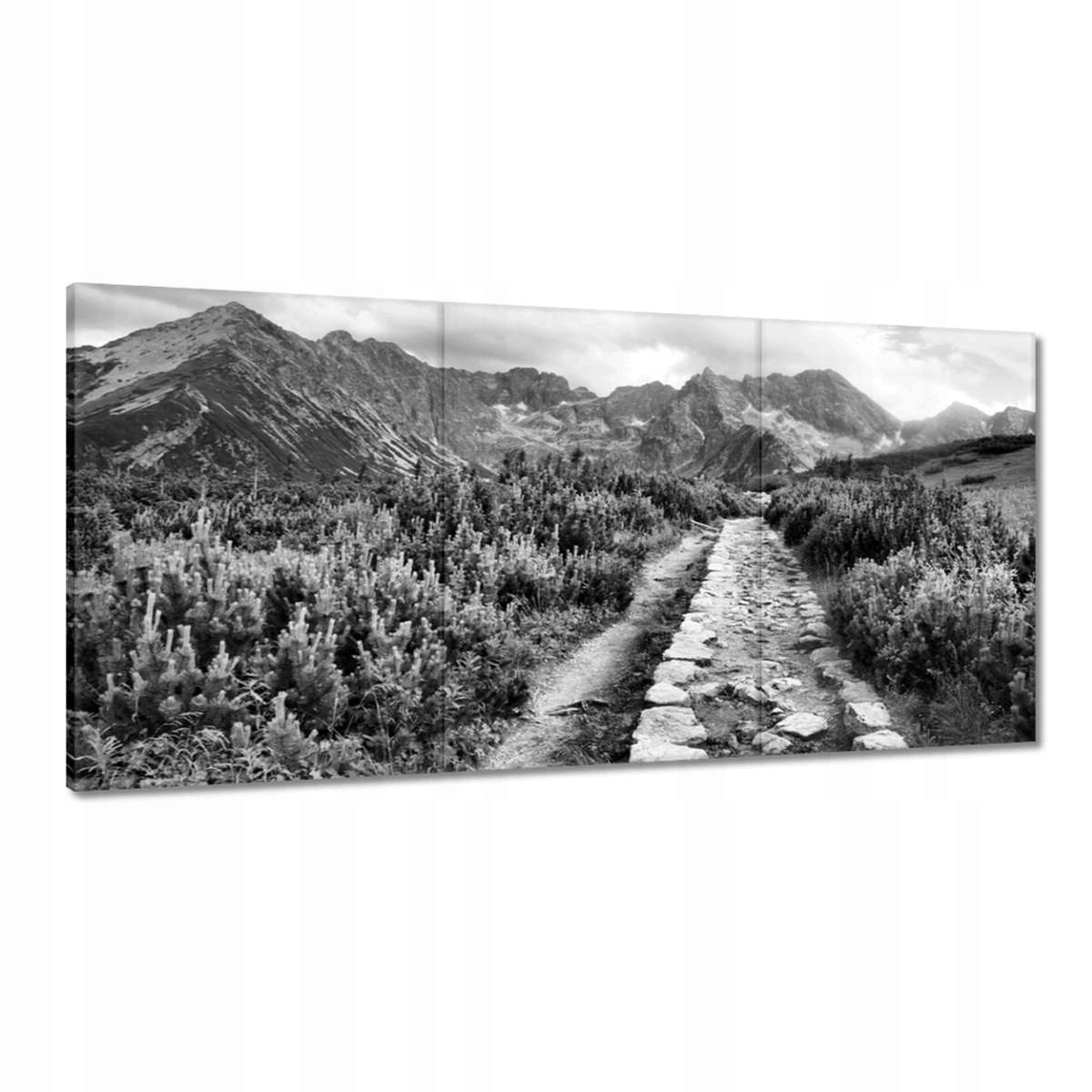 Obrazy 120x60 Tatry Polské hory Pohled