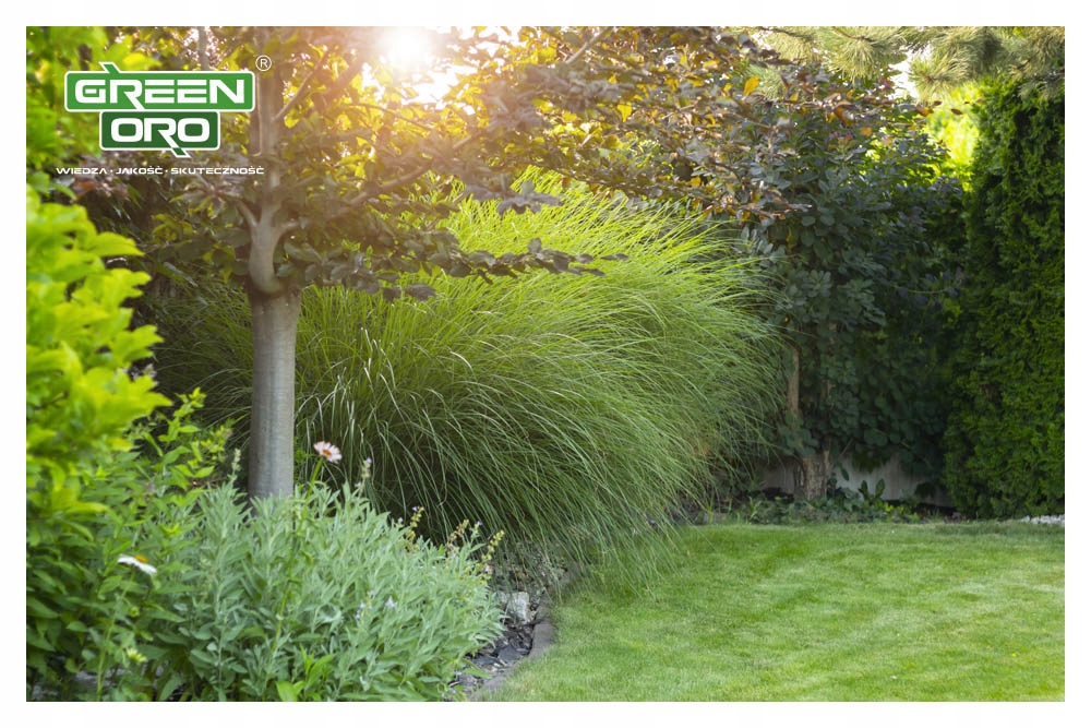 Nawóz do Traw ozdobnych Trawy Pampasowej 5kg 100 dni Trawa Ozdobna Pampaso Pojemność 5 l