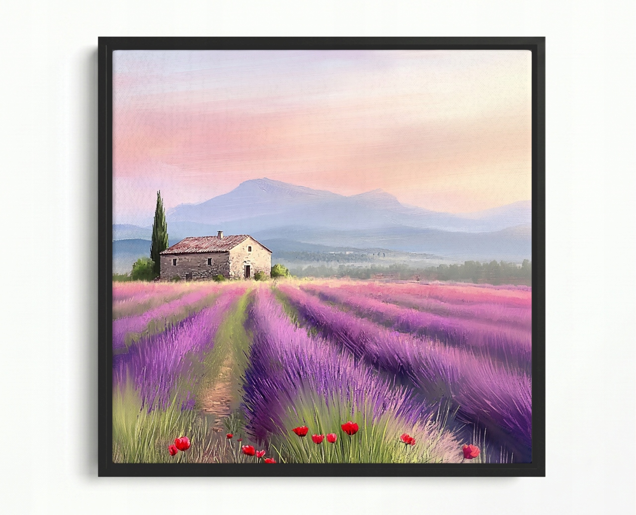 Obraz Rám Americký Box Krajina Francie Provence Pole Levandule Květiny 60x60