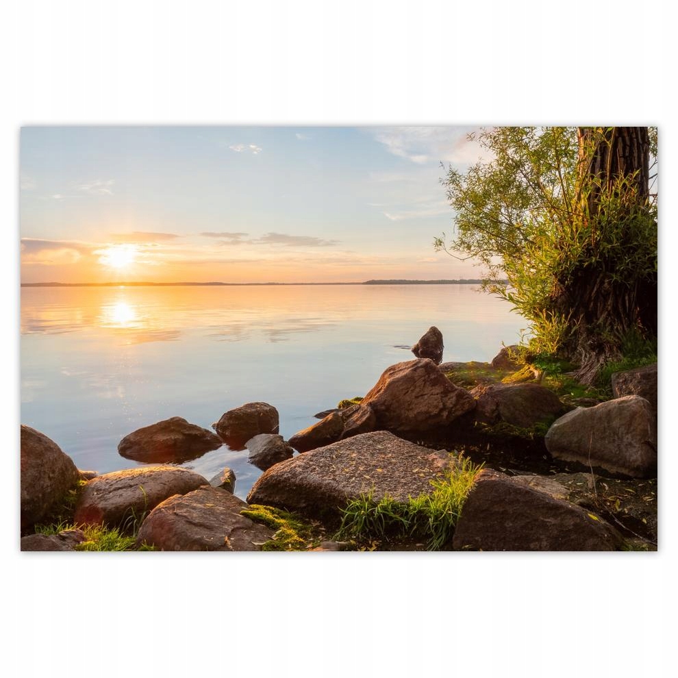 

Plakaty 60x40 Kamienie drzewa morze