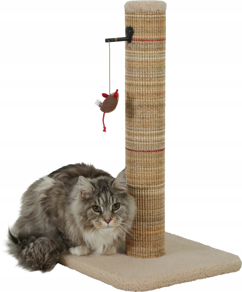 Zolux Drapak dla kota słupek Boreal M 60 cm beżowy