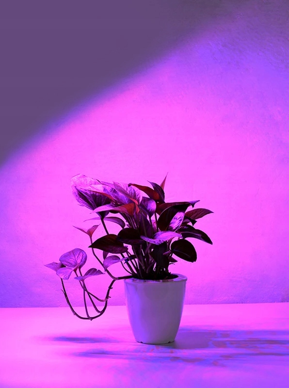 ŻARÓWKA do uprawy wzrostu ROŚLIN LED GROW światło do uprawy roślin 8W E27 Marka Videx