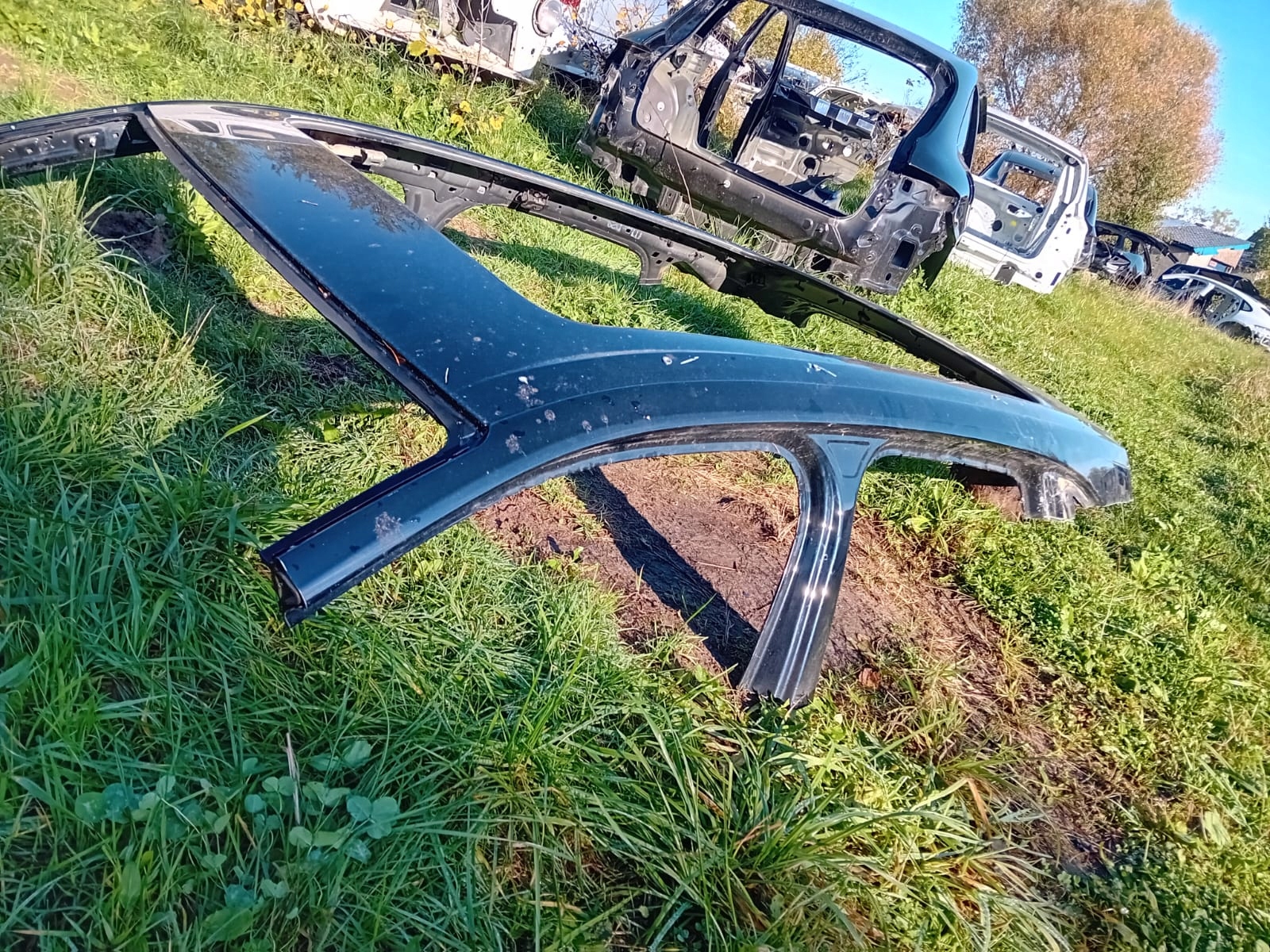 IDEALNY dach nackt ELEMENT BLACHARSKI PORSCHE CAYENNE 9Y SUV PANORAMA 1