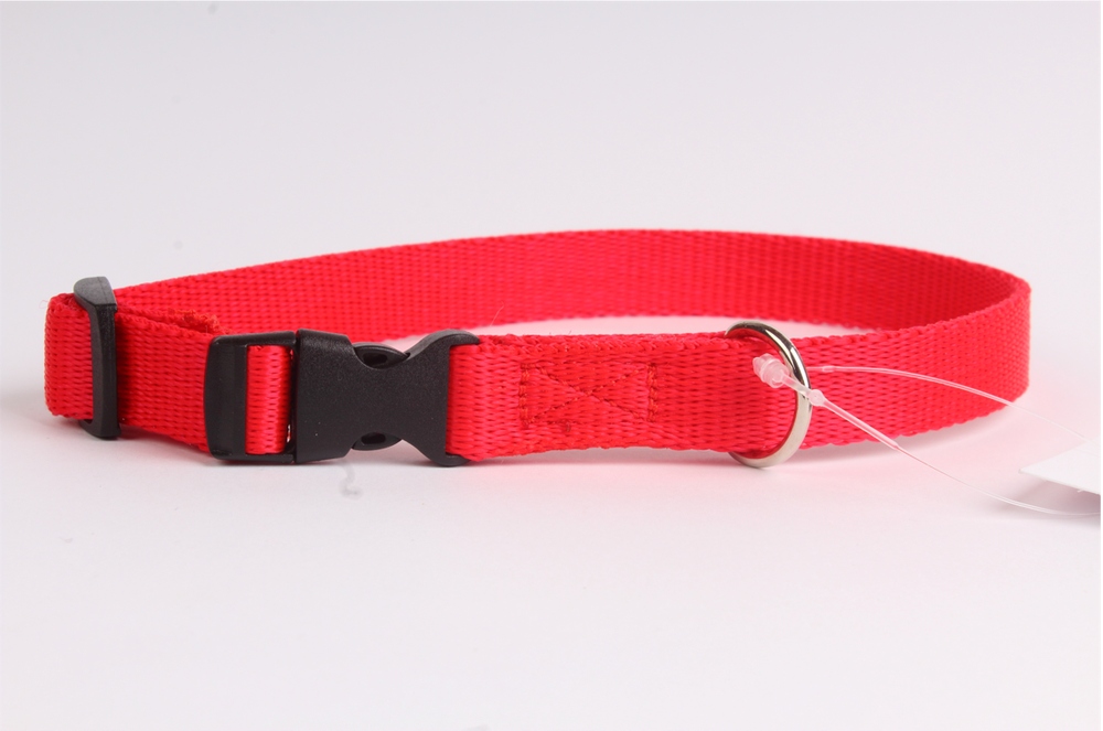 

DogStuffs Obroża z plastikową klamrą 25mm/34-60cm