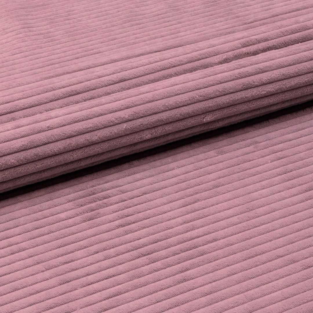 Róża Lincoln Niska cena na Allegro