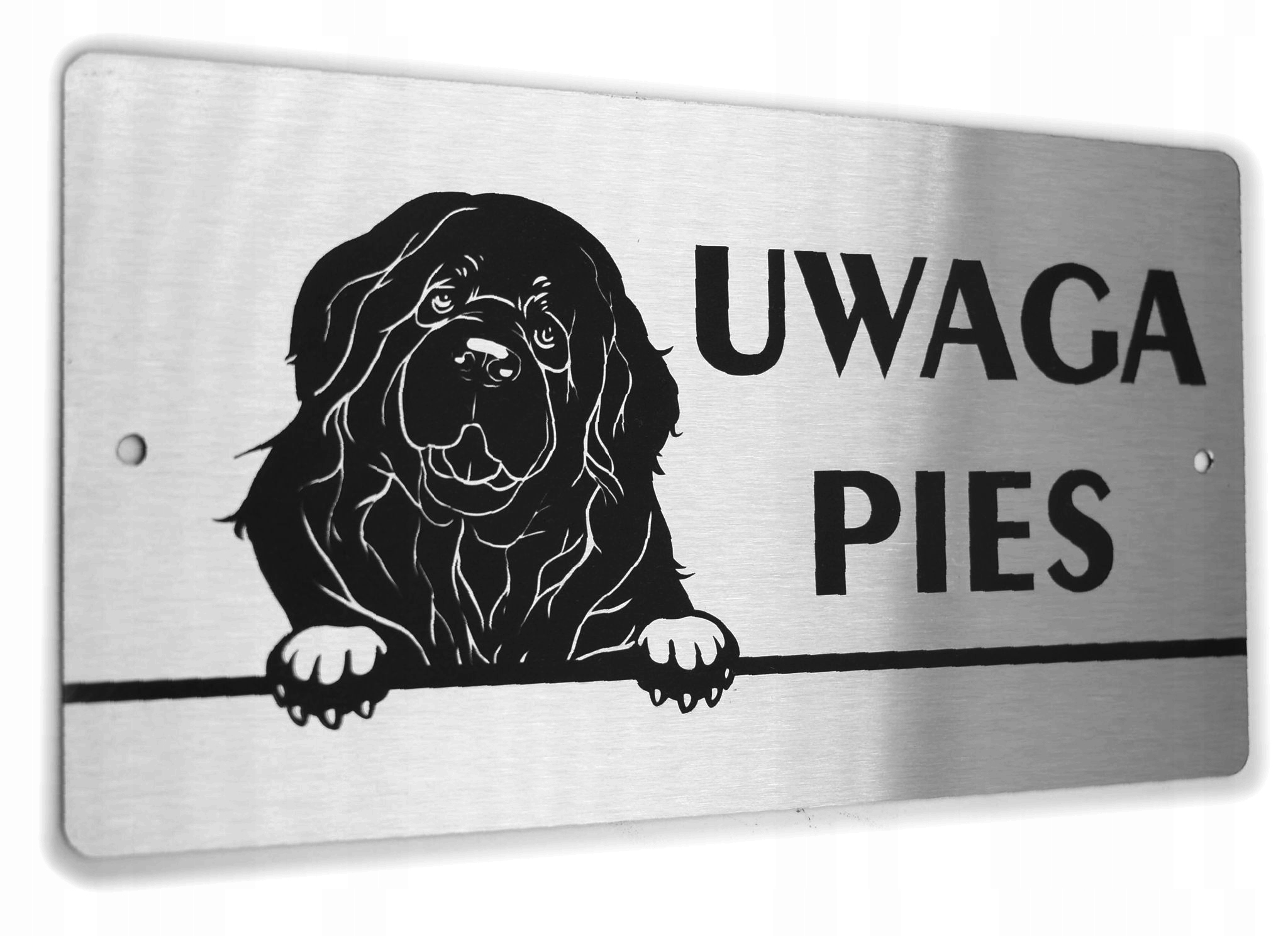 Tabliczka INOX - laser- UWAGA PIES - Nowofundland