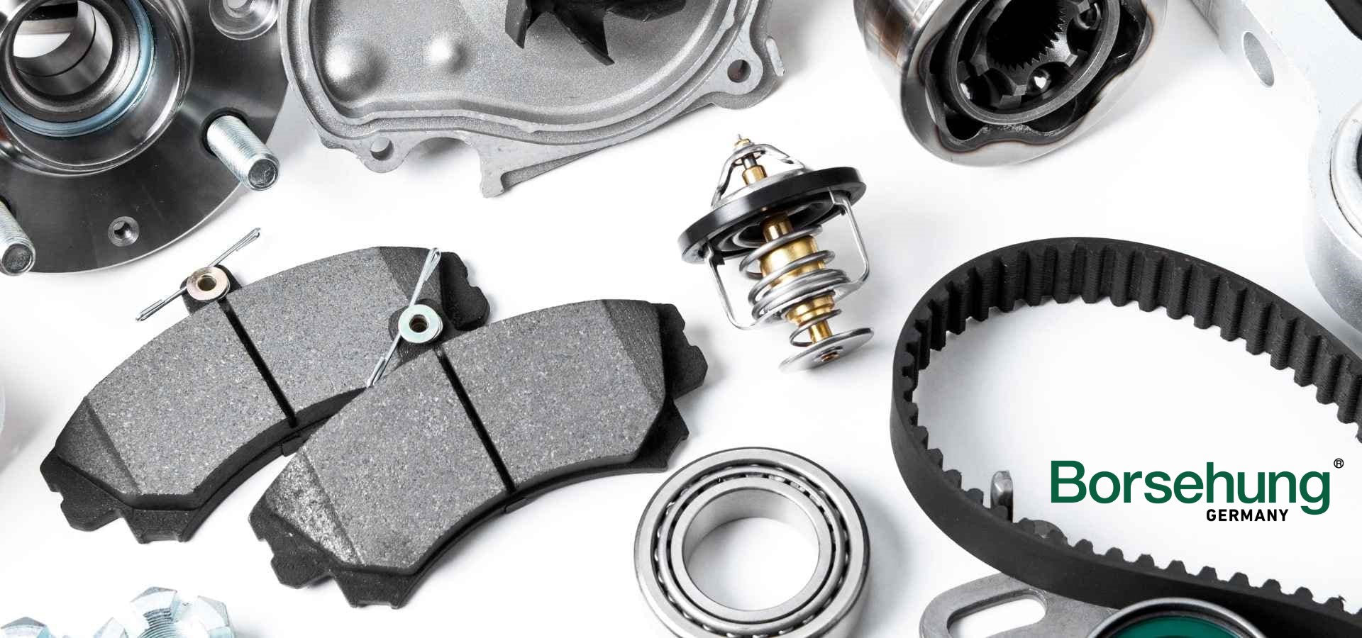 BORSEHUNG PANEWKI WAŁKA ROZRZĄDU KPL 10SZT 1.9TDI Producent części Borsehung