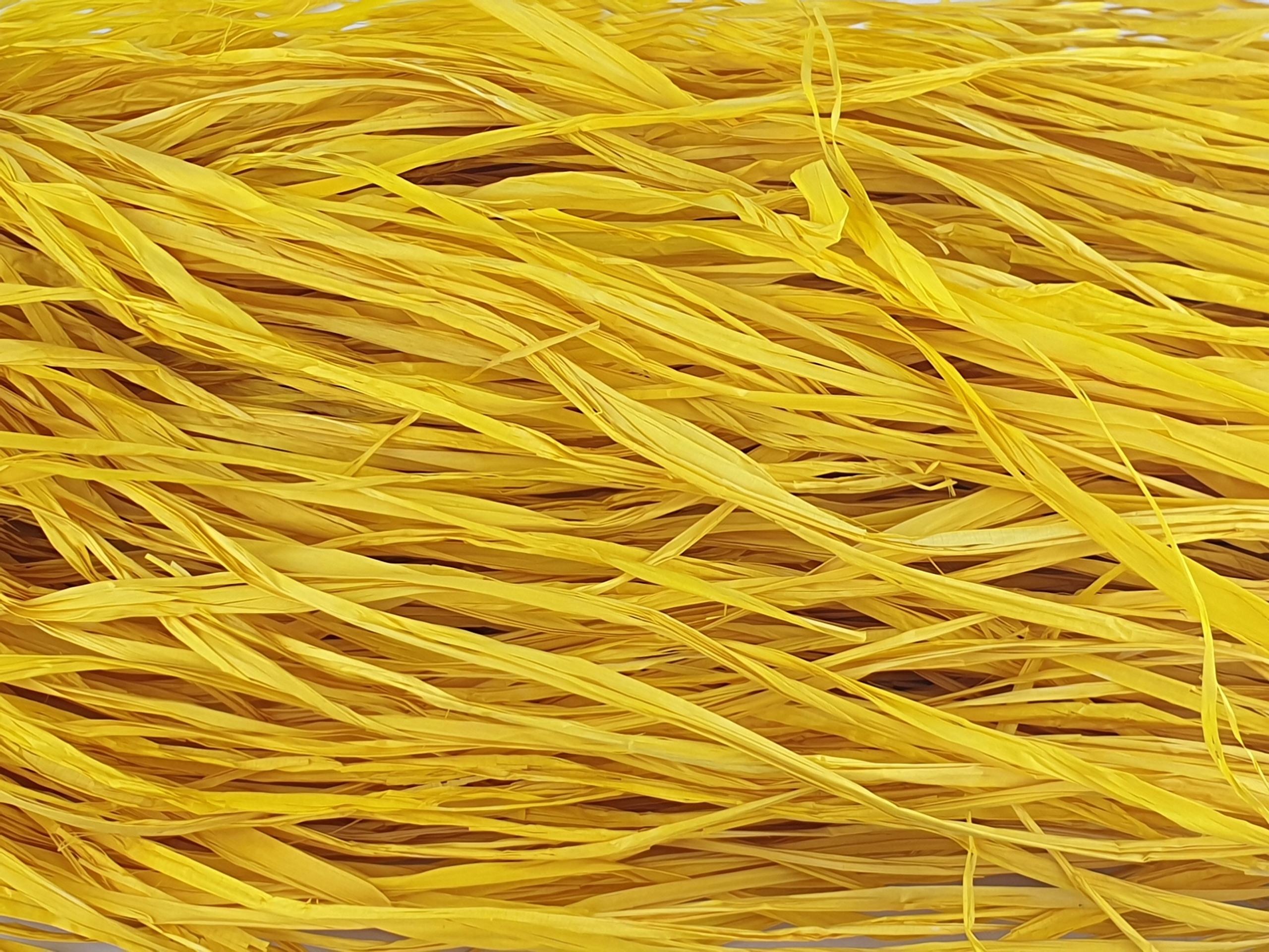 

Rafia Sznurek Wstążka duże opakowanie 250g żółta