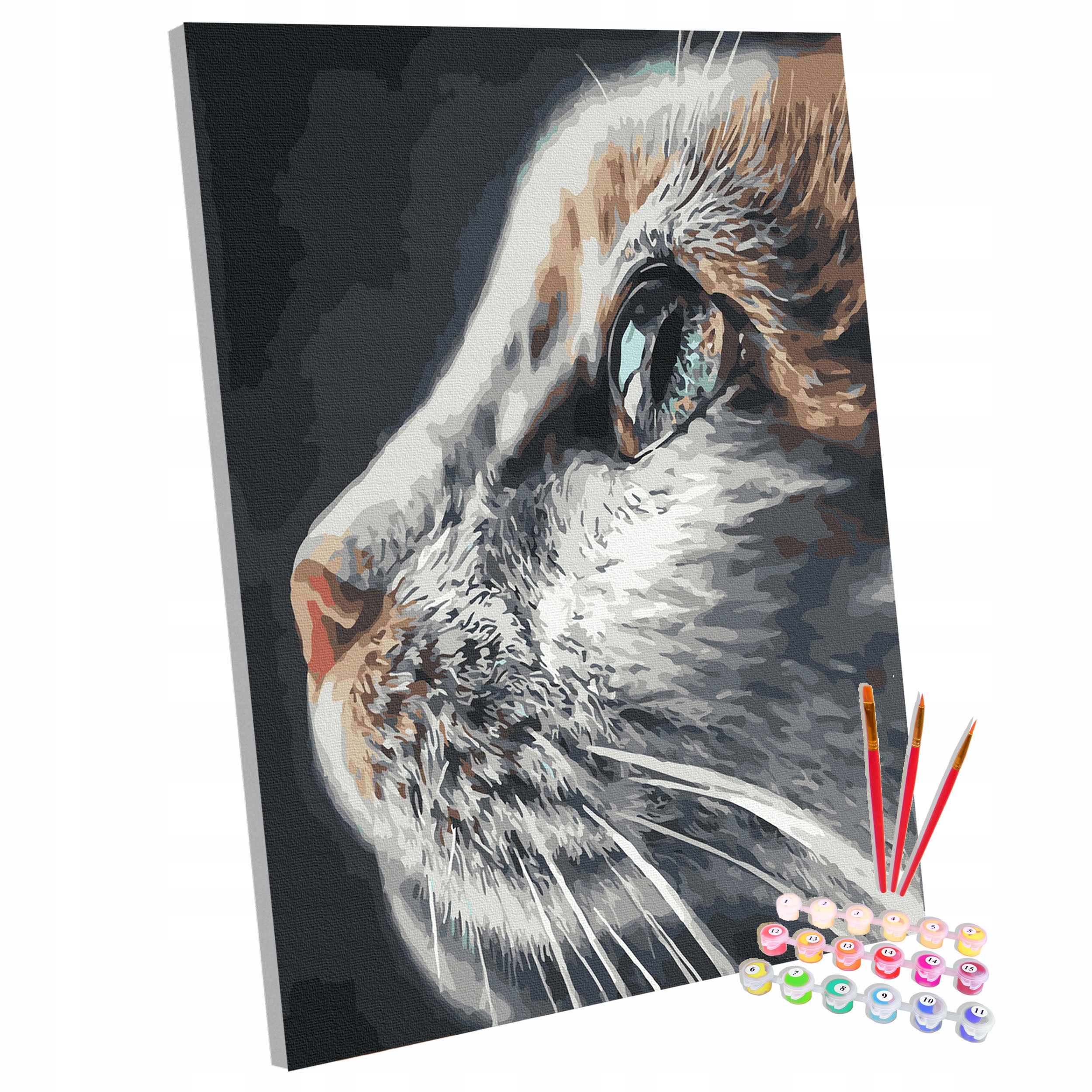 Sada Obraz na malování Malování Podle Čísel Na Rámu Kočka Kotě 40x50 cm