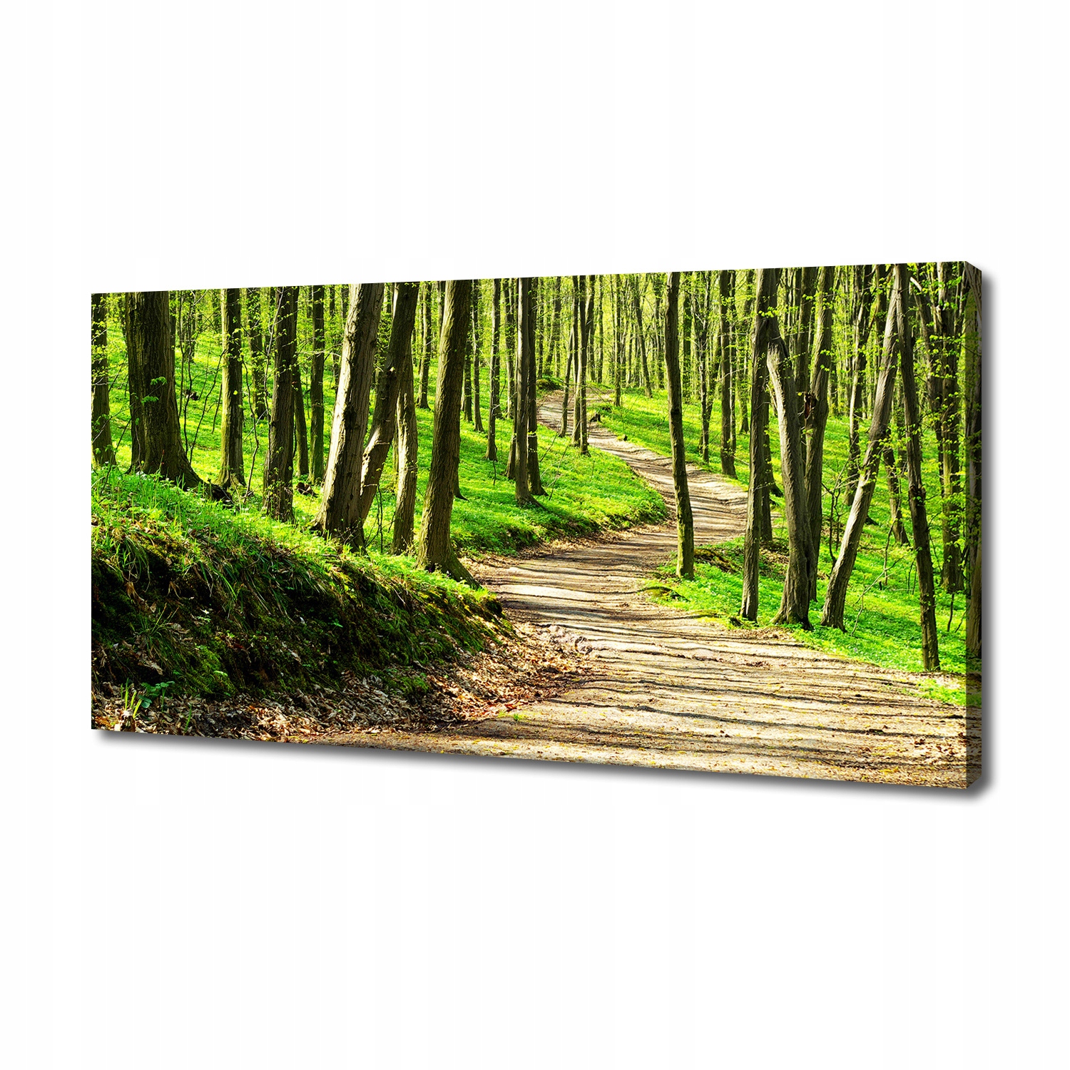 

Foto obraz na płótnie Ścieżka w lesie 140x70 cm