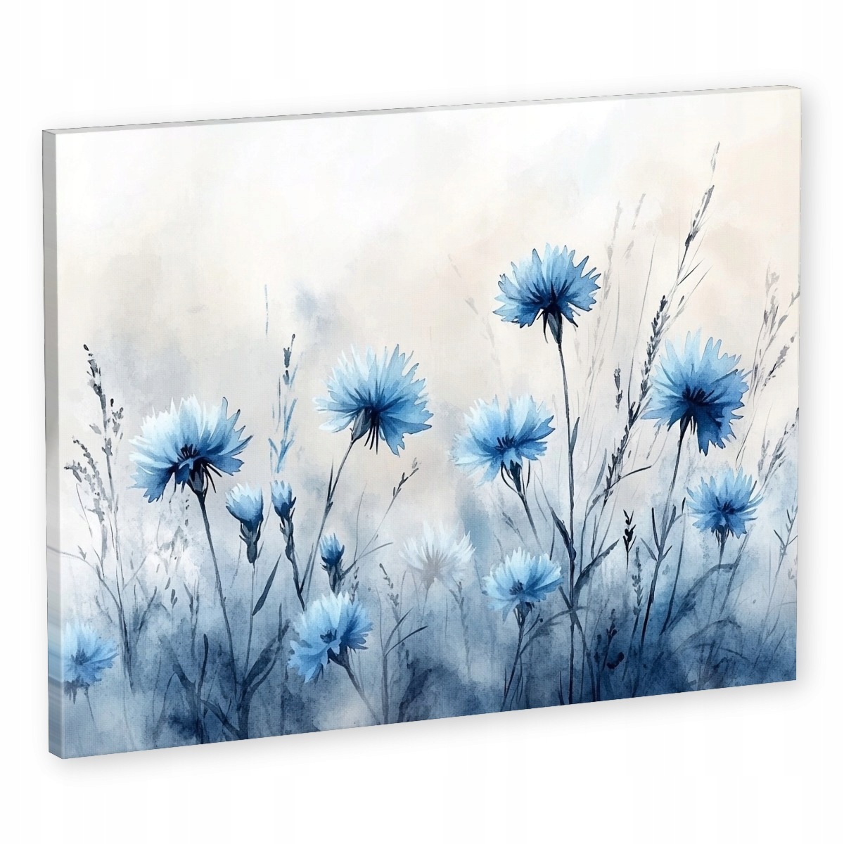 Obraz Na Plátně Canvas Příroda Zahrada Pole Květiny Chabry Kukuřice 80x60