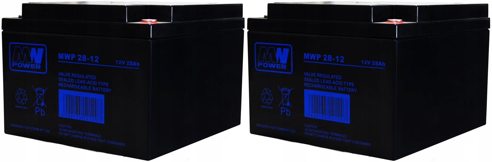RBCAP1 Zestaw Akumulatorów Ups Apc 2x Mwp 28-12