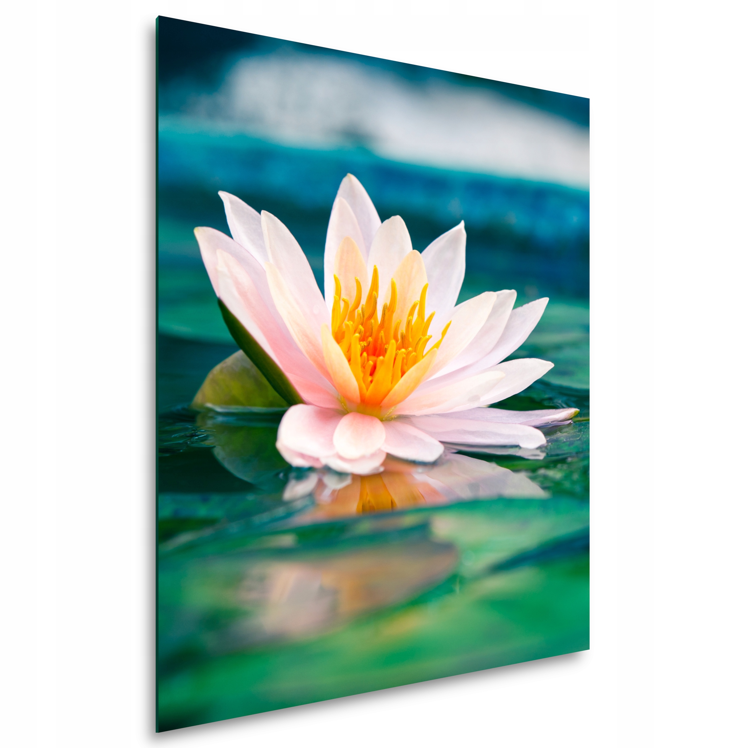 Kúpeľňový panel 60 x 80 cm akýkoľvek vzor Zadarmo