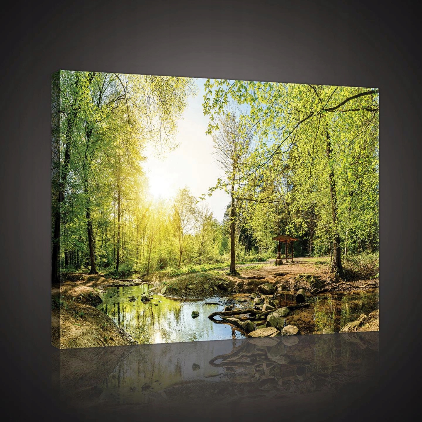 Obraz na plátně obraz na zeď zelený žlutý park 60 x 40