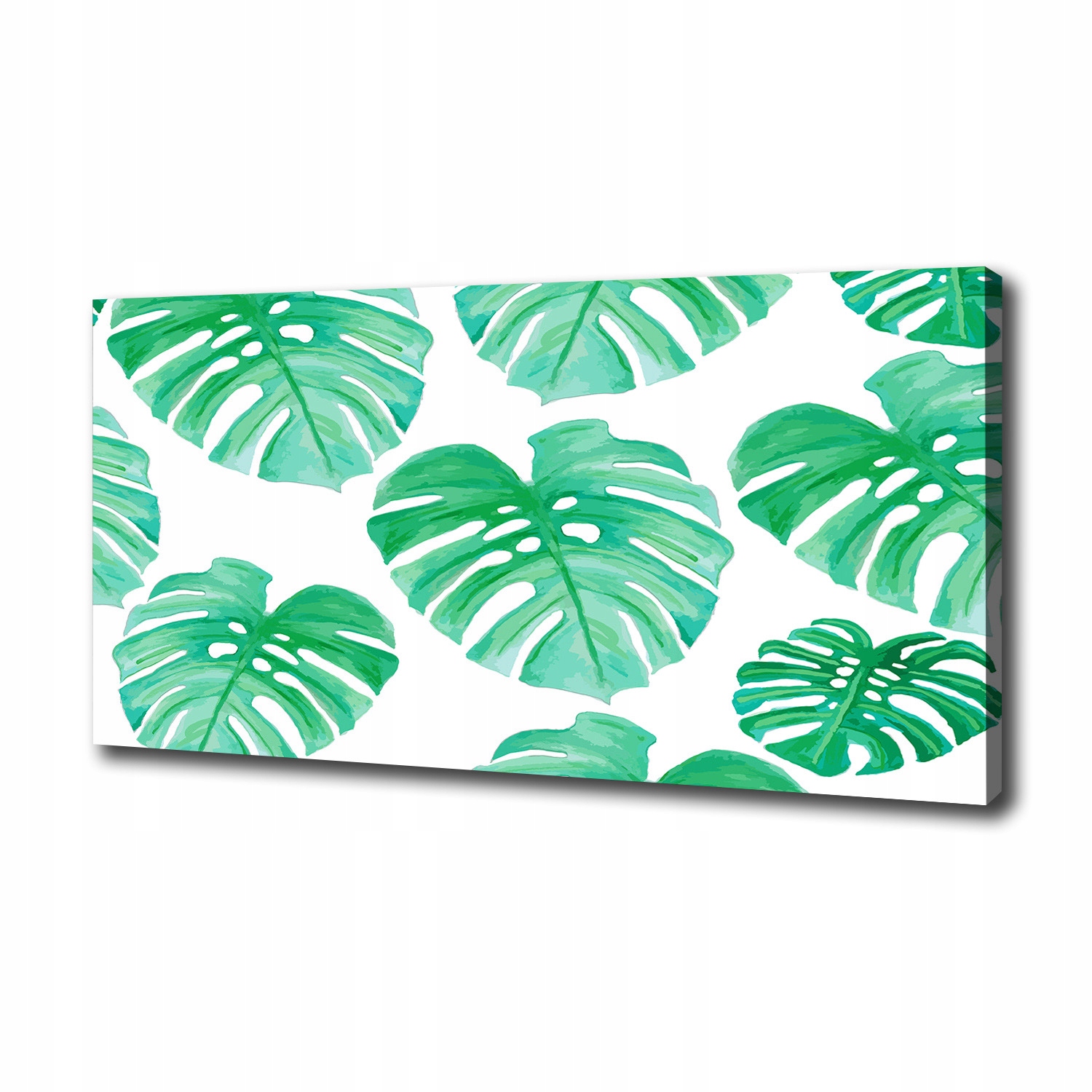 

Foto obraz canvas na ścianę Monstera 100x50 cm
