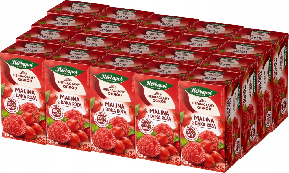 Herbaciany Ogród Malina z dziką różą Herbapol x20