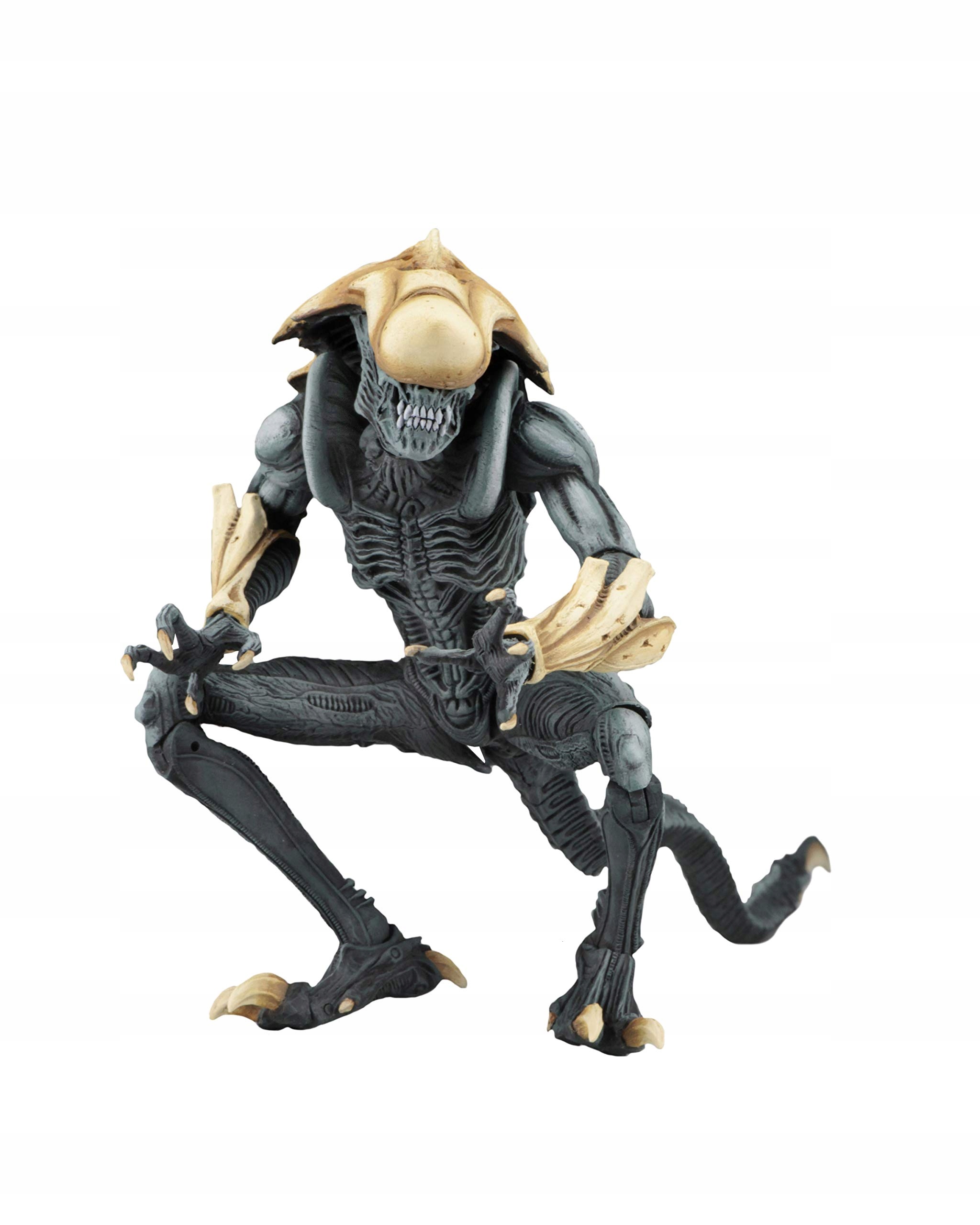 NECA アラクノイドエイリアン (Movie Deco) レビュー : おもちゃ