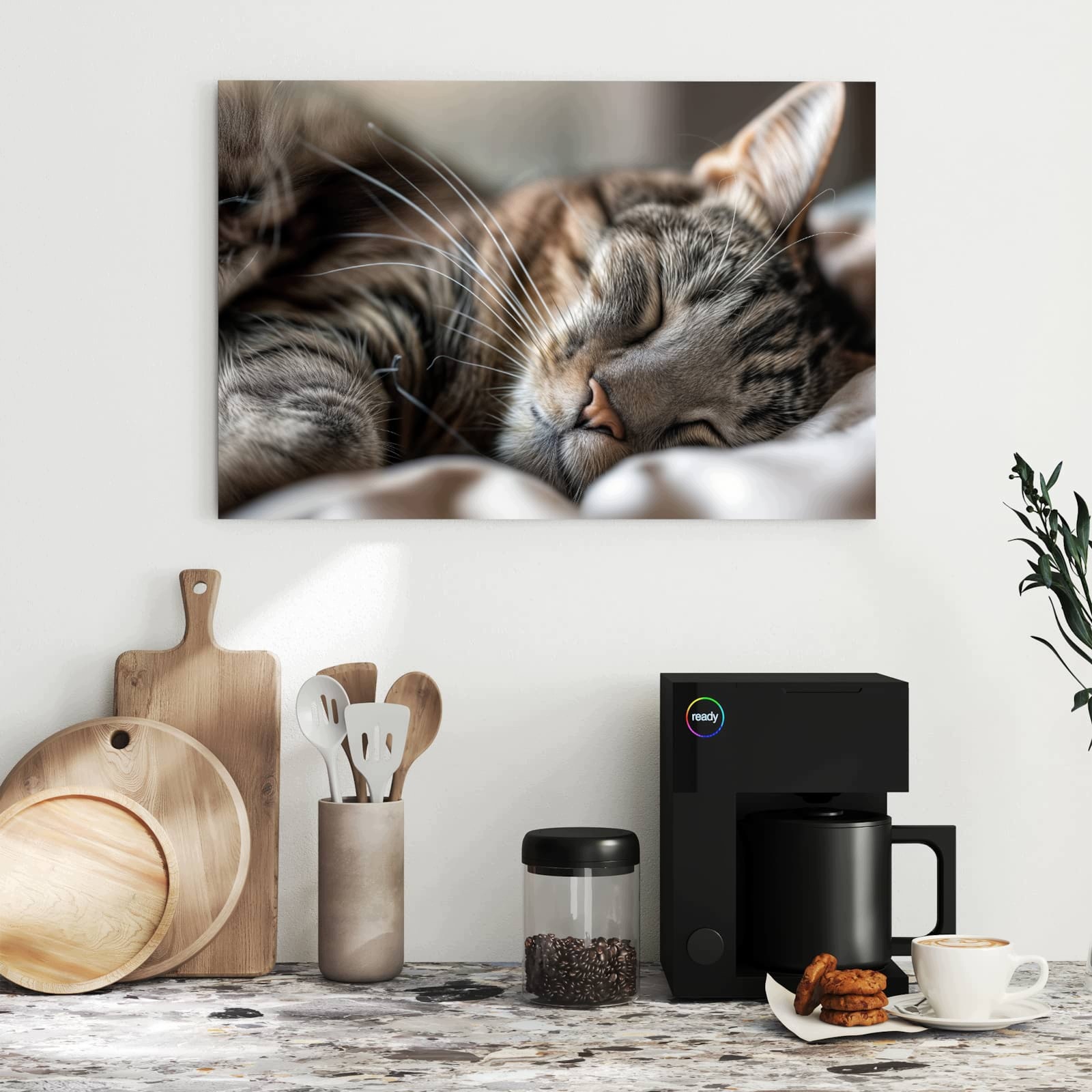 Magnetická tabule Drzemiouce Kočka Portrét 60 × 40 cm