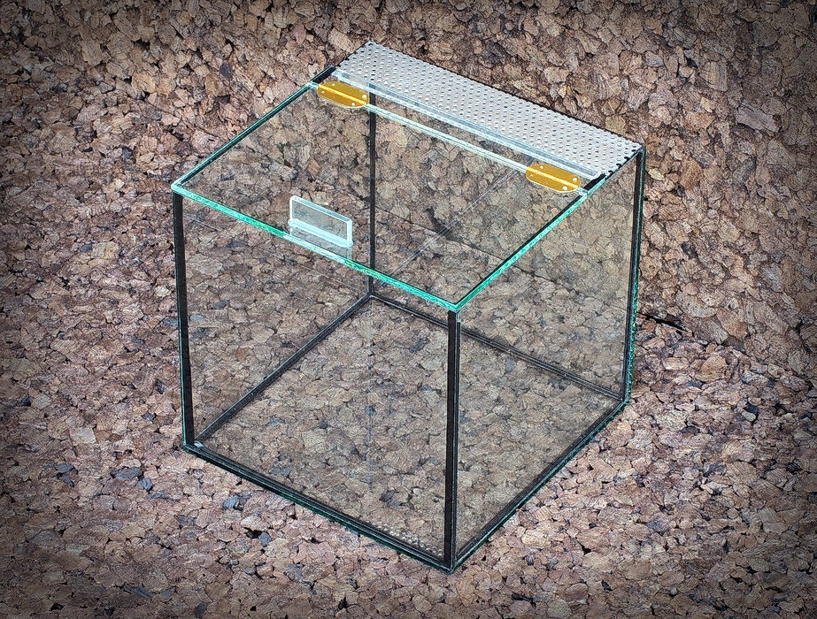 

Terrarium 25x25x25 dla ptaszników skorpionów