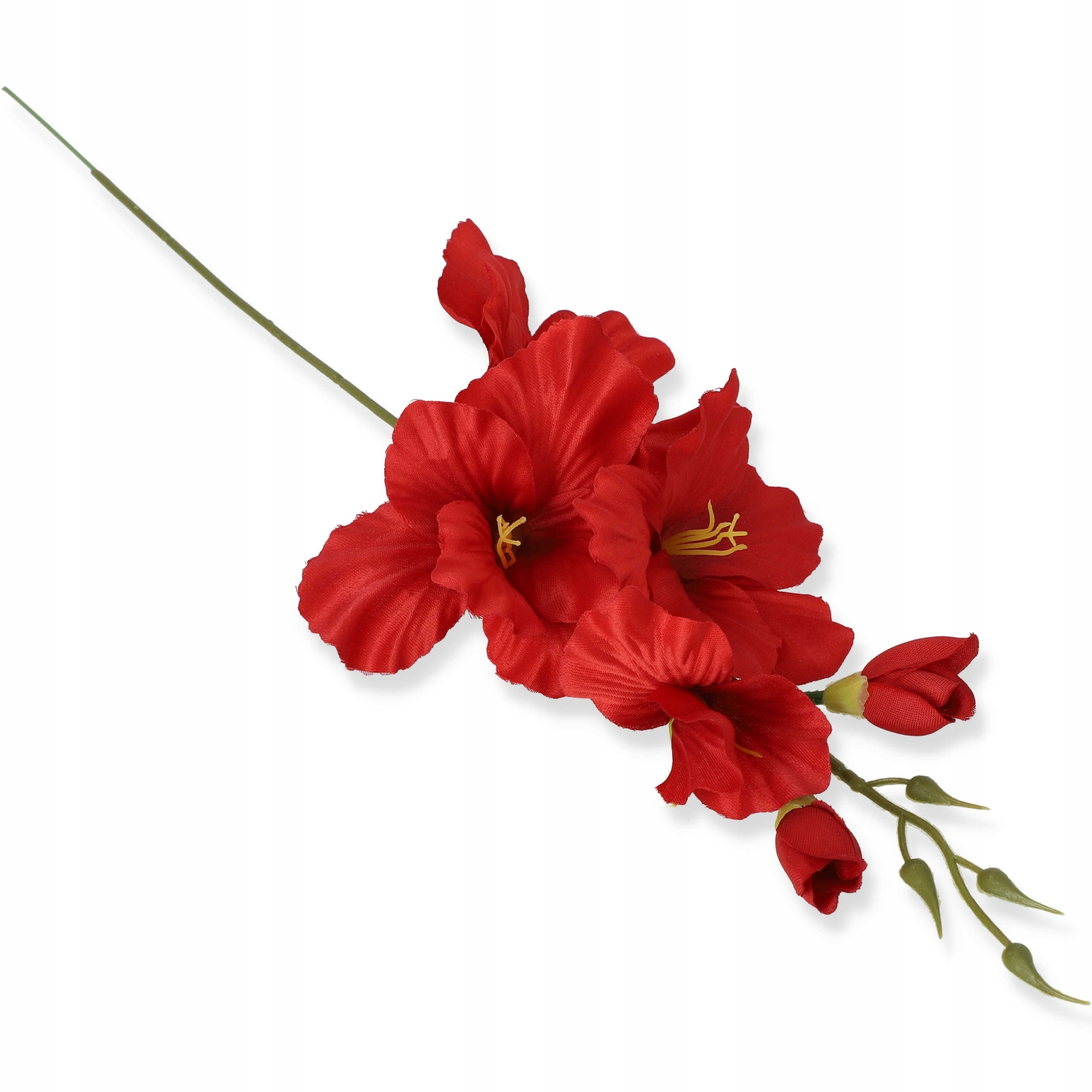 

Mieczyk Mieczyki Gałązka Dekoracyjna Czerwony