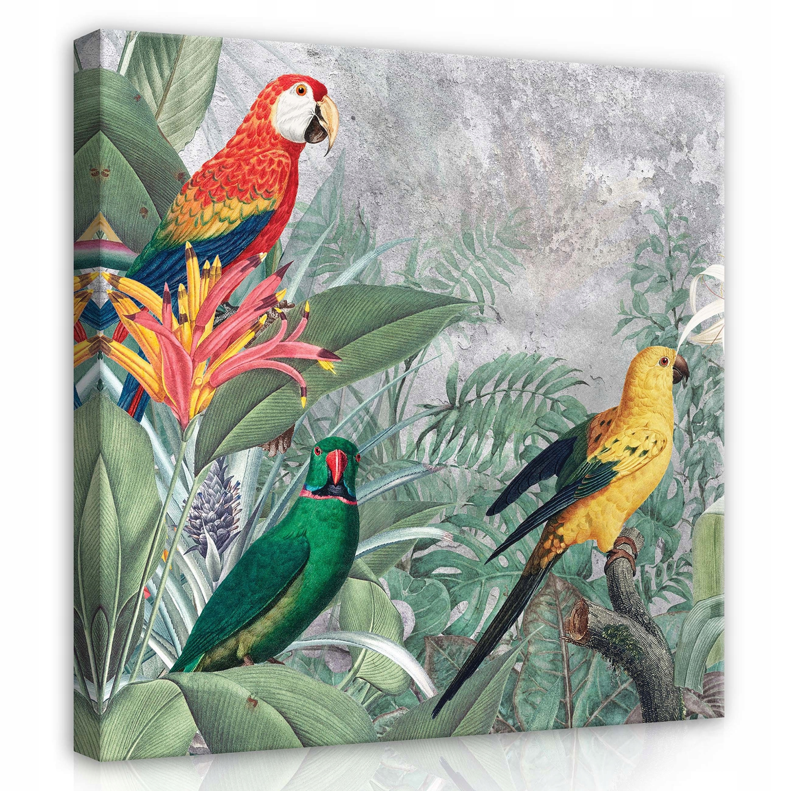 Obraz 80x80 Tropy papoušci exotika džungle ptáci listy květiny