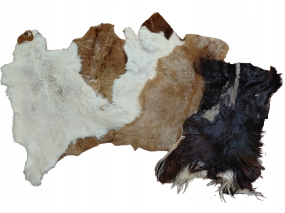 Balíček Kože Kozí 5 Kusov Kozí koža 2. trieda Predaj Kozí koža