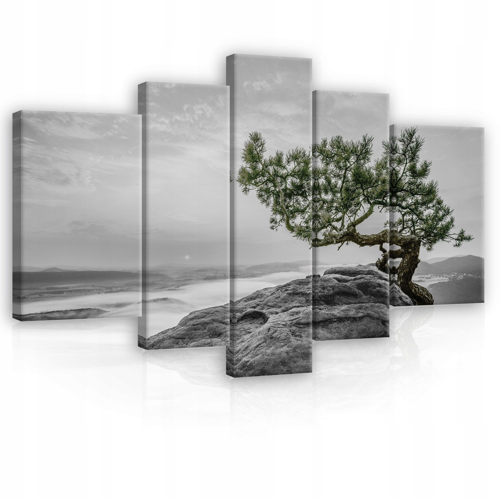 Obraz 170x100 horská krajina hmla úsvit borovica osamelosť príroda pokoj