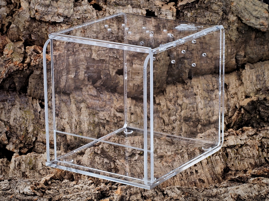 

Terrarium pleksiglas, nie akryl 15x15x15 cm pająk