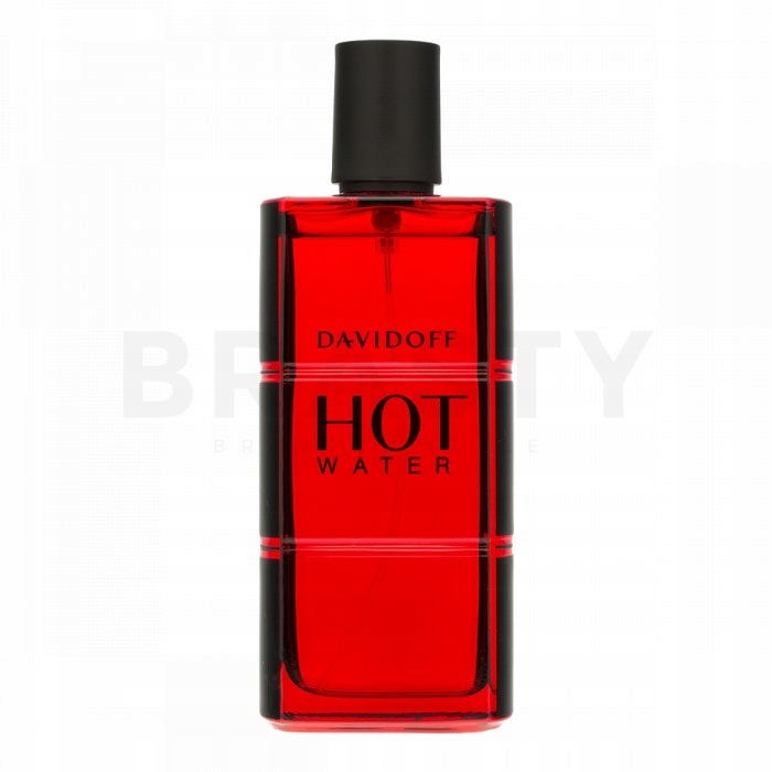 Davidoff Hot Water Edt M 110 ml