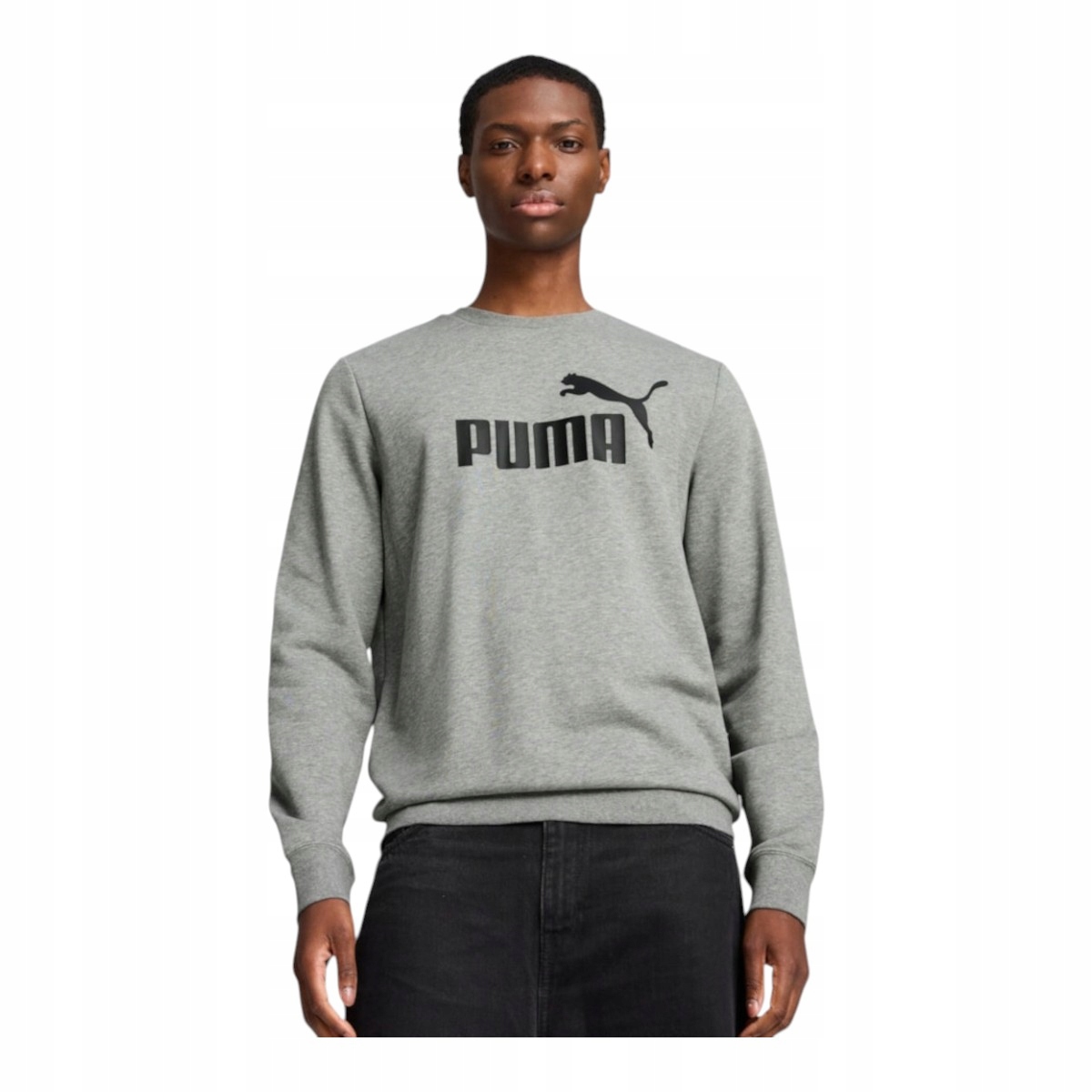 Puma Pánská Mikina Ess No. 1 Logo Crew Tr Šedá r.XL