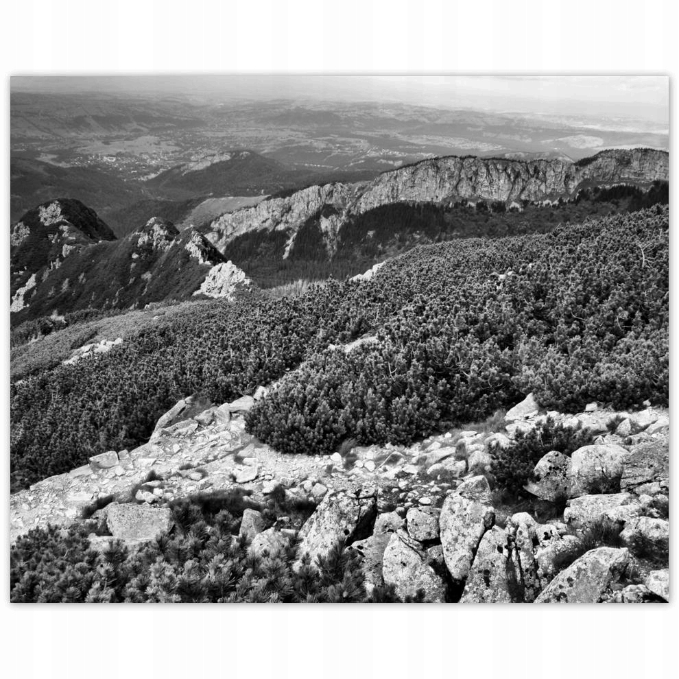 

Plakat 50x40 Tatry Polskie góry Widok