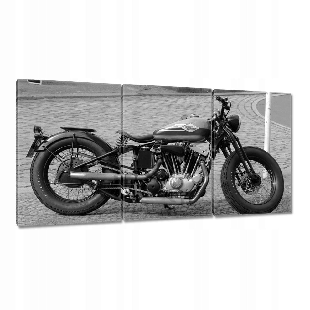 

Obrazy 120x60 Harley Davidson Motocykl