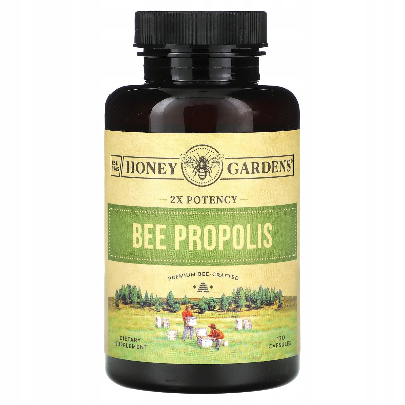 Zand, Propolis pszczeli, moc podwójna, 120 kapsułek (400 mg na kapsułkę)