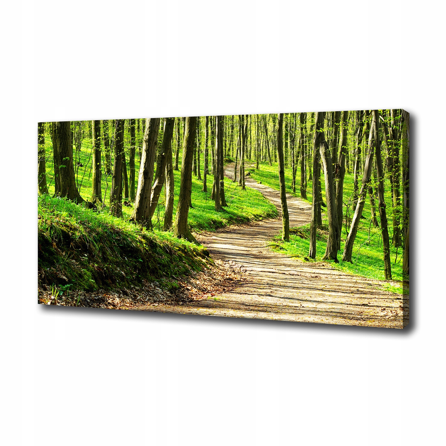 

Foto obraz na płótnie Ścieżka w lesie 100x50 cm