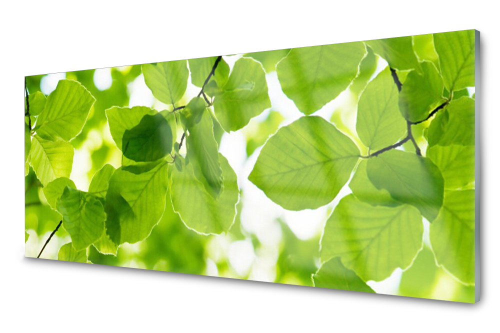 

Panel szklany do kuchni Liście Roślina 125x50