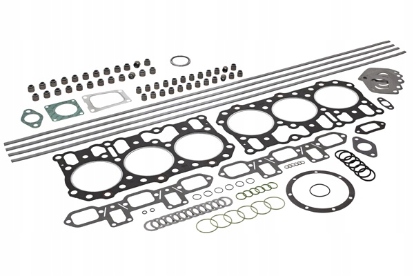 KOMPLETNY ZESTAW USZCZELEK SILNIKA GÓRA RVI MAGNUM MACKE.TECHA 46 Producent części Elring