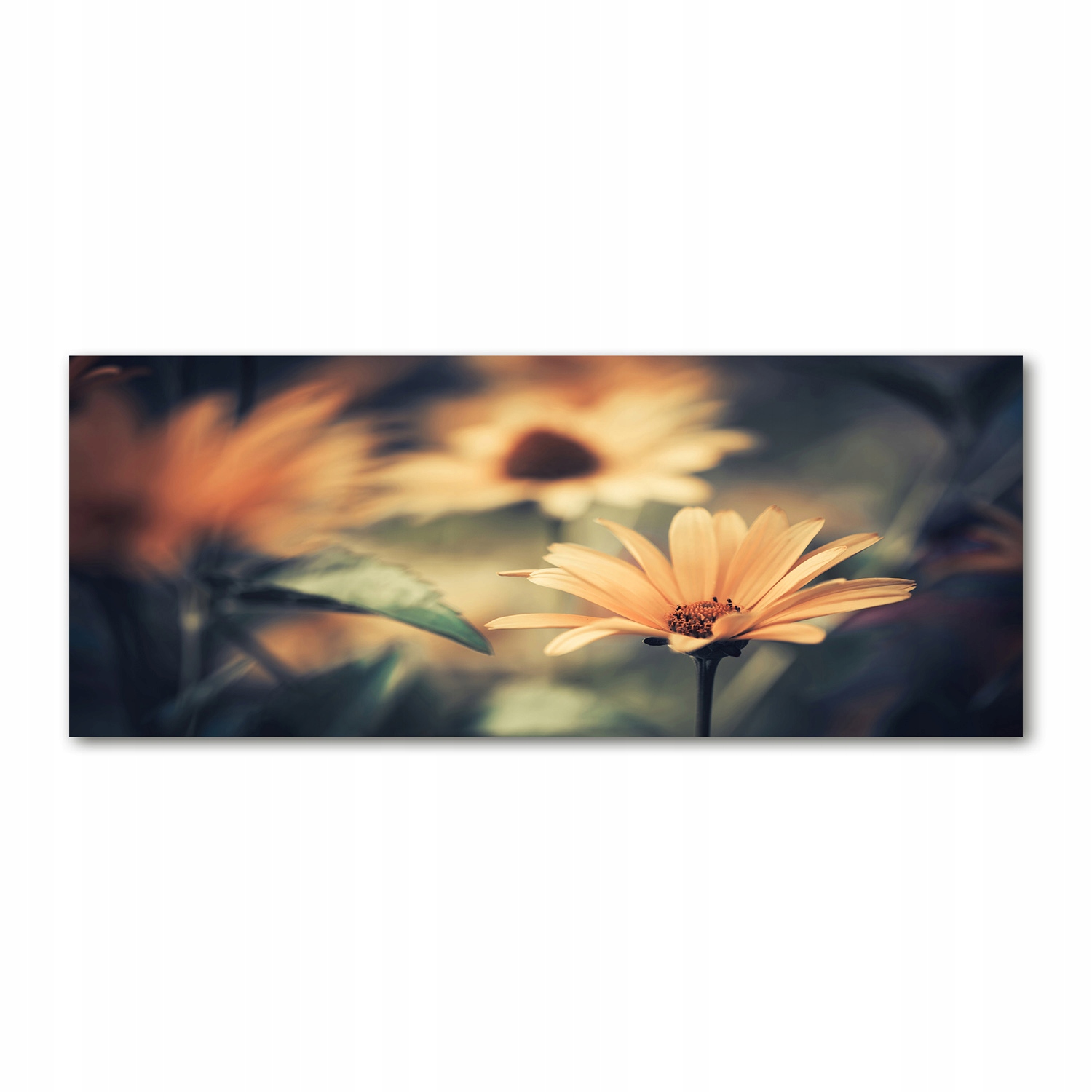 

Foto obraz akryl zdjęcie Wiosenny kwiat 125x50 cm