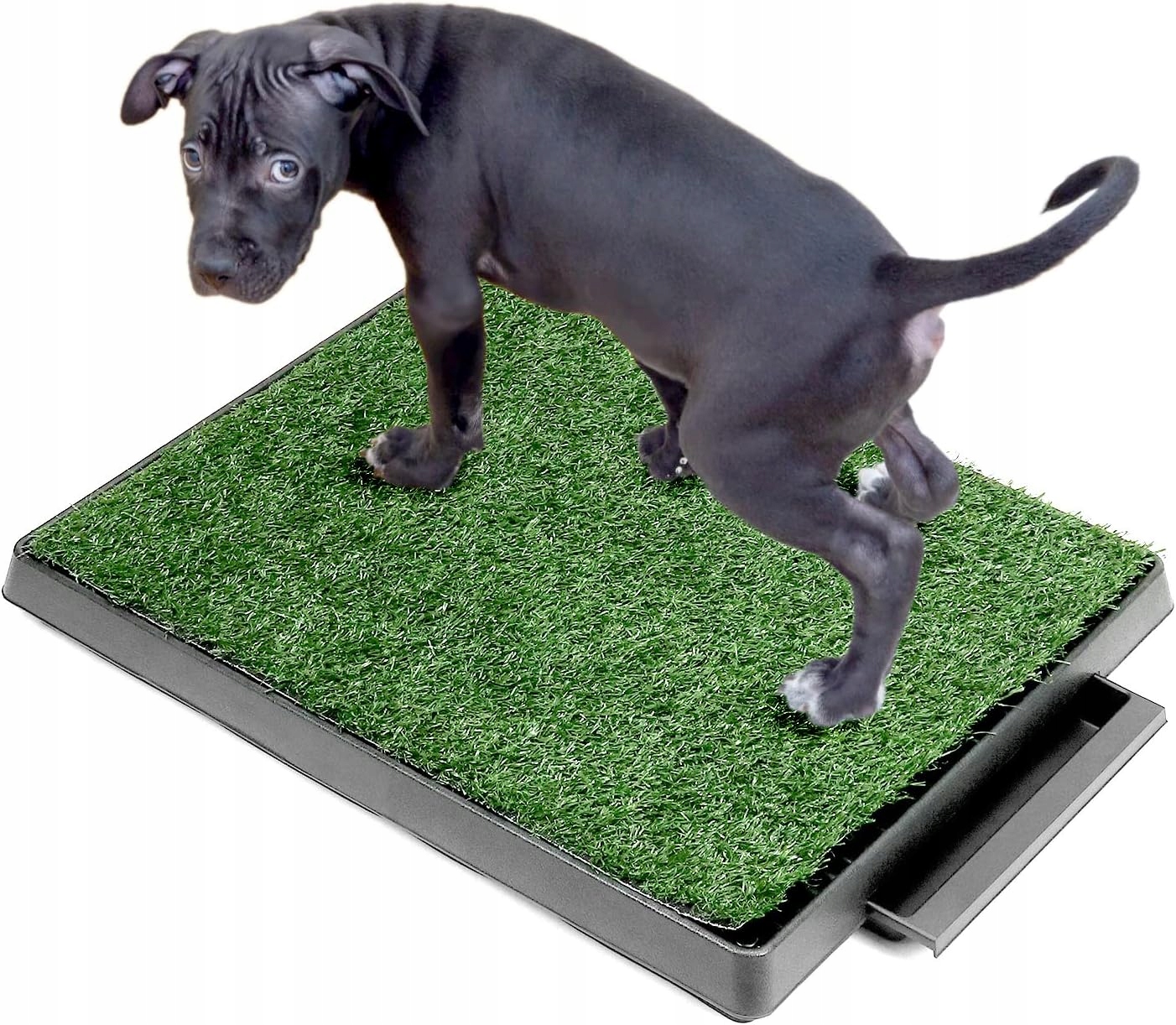 Levně Kyveta Tréninková Podložka Umělá Tráva Pro Psa Štěně Naučte Se Používat