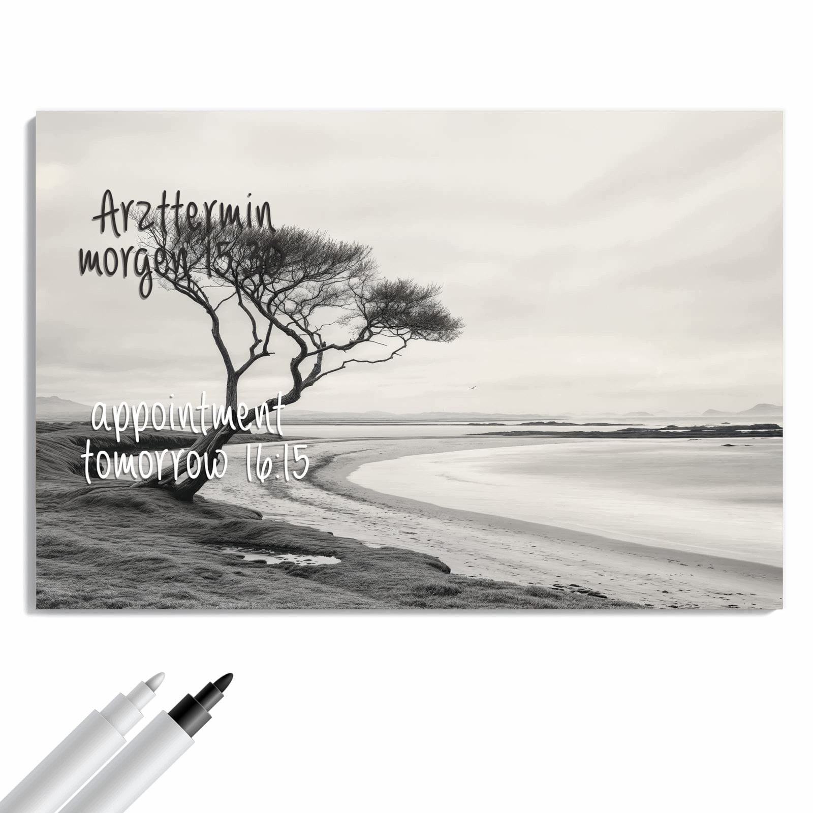 Magnetická tabule Samotny Strom Moře 90 × 60 cm