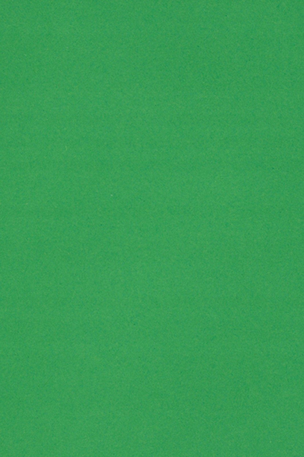 

Papier brystol kolorowy 250g zielony A3 10ark.