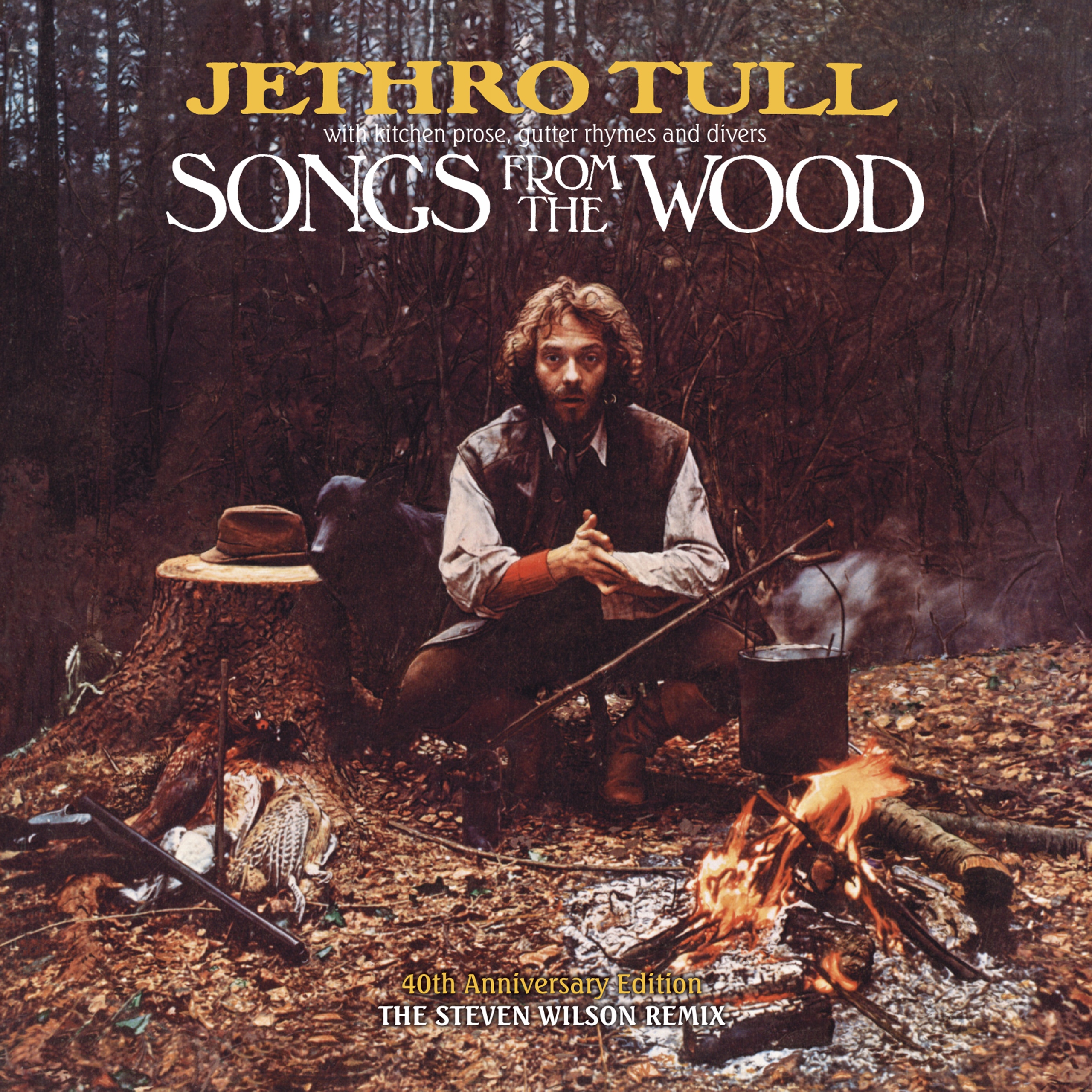 

Jethro Tull The Songs From The Wood CD