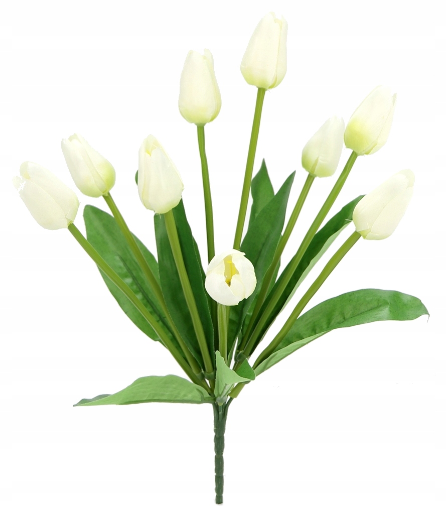 

Bukiet Tulipan 9x pąków otwarte Białe 40cm