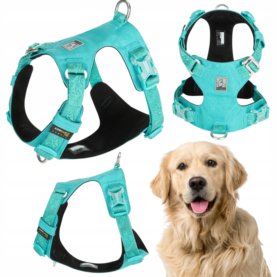 Levně Voděodolné Obojky Pro Psa Lehké Truelove Adventure Soft Modré XL
