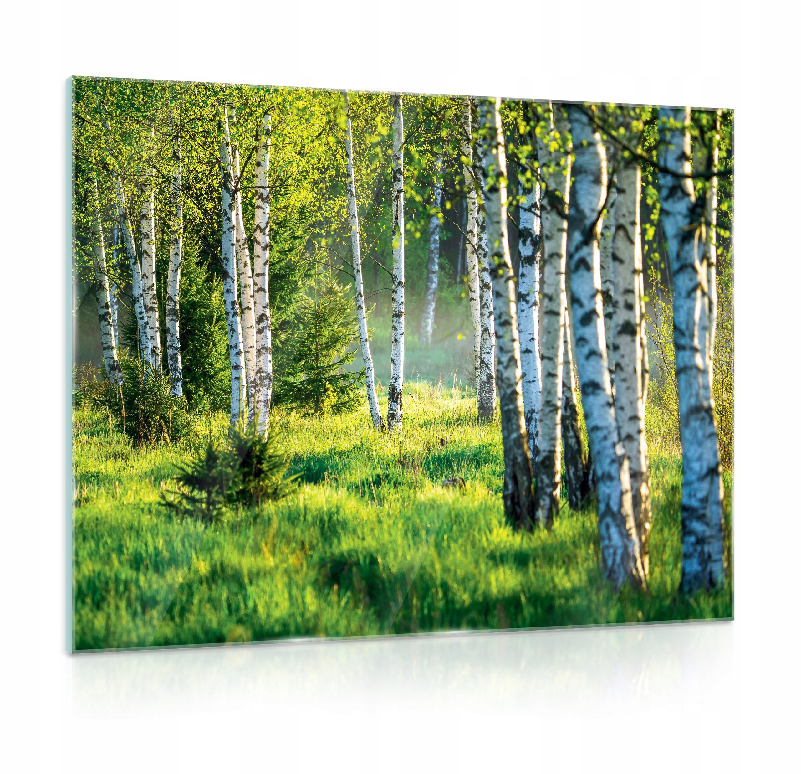 Obraz na skle Krajina Les Příroda 80x60