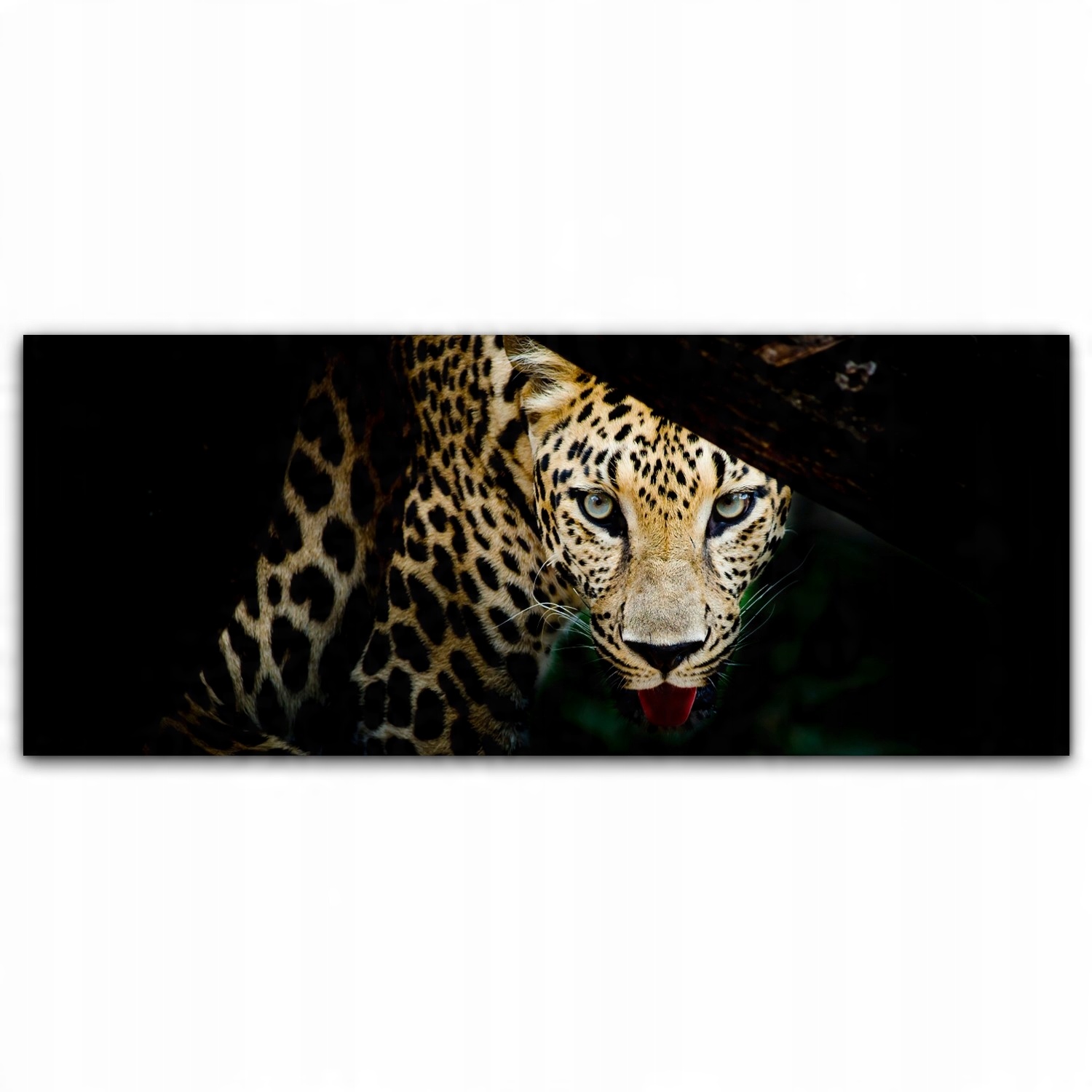 

Foto-obraz canvas 125x50 Lampart Zwierzę Portret