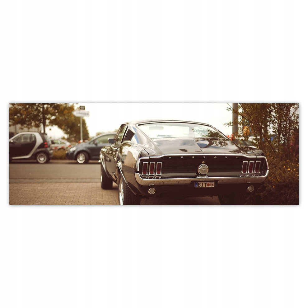 

Fototapety flizelina 624x219 Vintage Ford Mustang