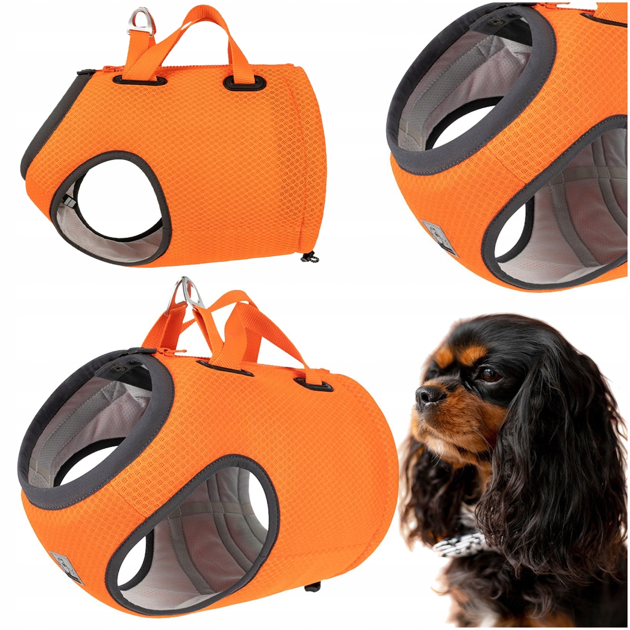 Levně Postroj Do Auta Pro Psa S Atestem Truelove Expedition Oranžový