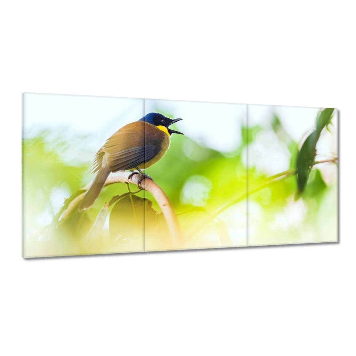 Obrazy 180x90 Vtáky Vtáky