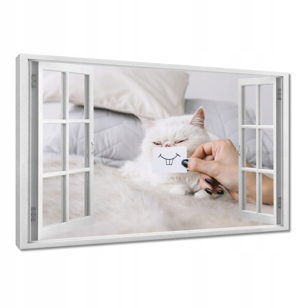 

Obrazy 120x80 Kot Kotek Kotki Kicia