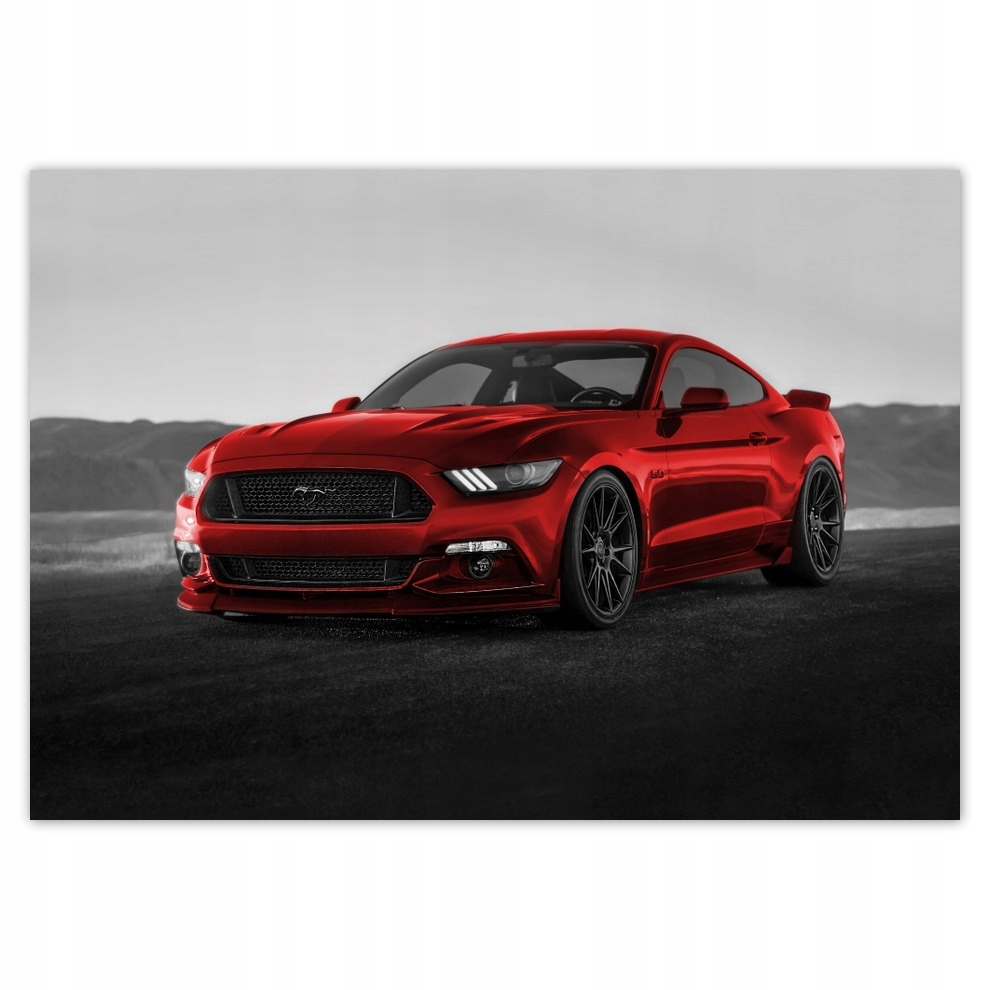 

Fototapety flizelina 312x219 Ford Mustang Usa